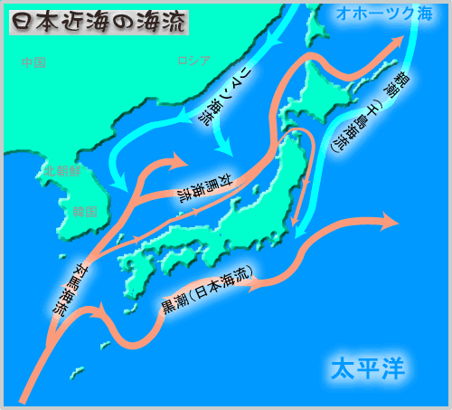 社会 地理 親潮と黒潮の違い 覚え方のコツ なるほど 塾講師が教える教え方のコツ